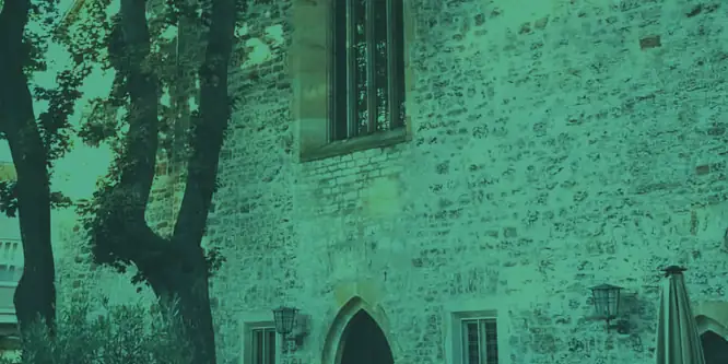 66045526_2270458269838530_5713759352445160273_n