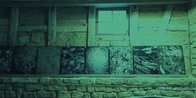 66500182_1123275781198391_4161203386450758015_n