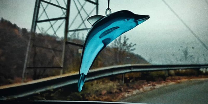 MtKum_CGRAIN_20191116_178