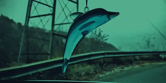 MtKum_CGRAIN_20191116_178